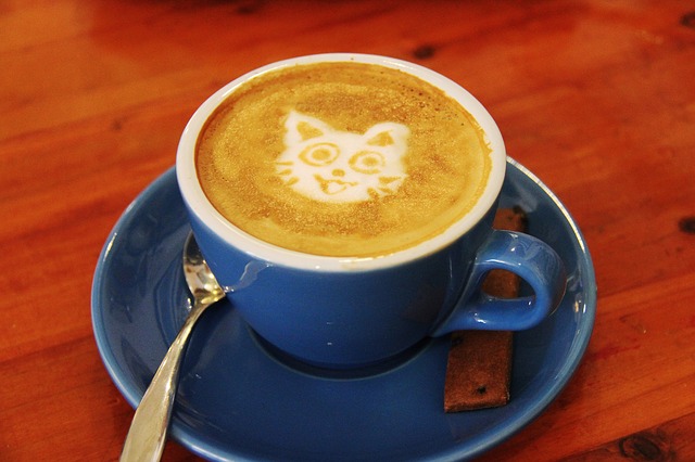 šálek kávy s kočičí pěnou