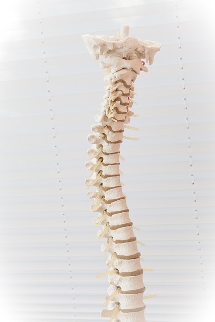 Skolióza páteře je bolestivá. 